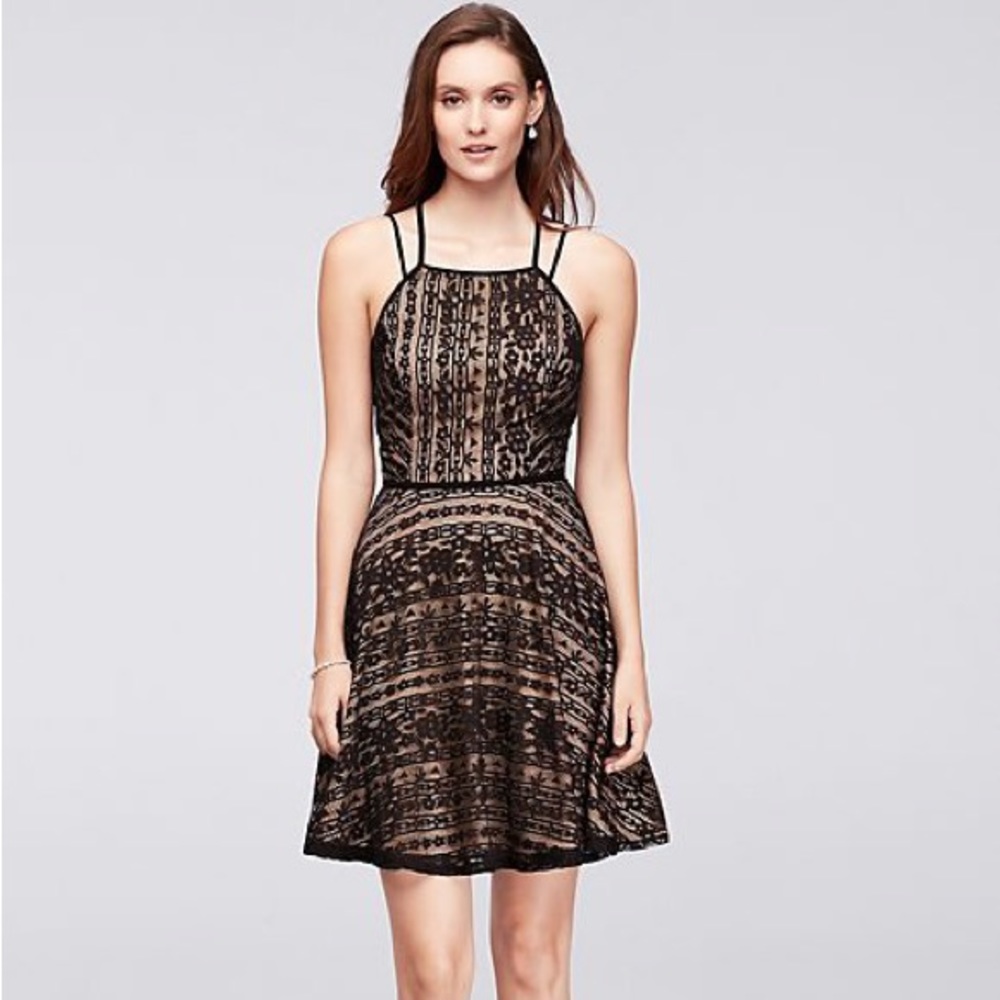 City Triangles Beige with Black Lace Overlay Party Mini Dress Size 10